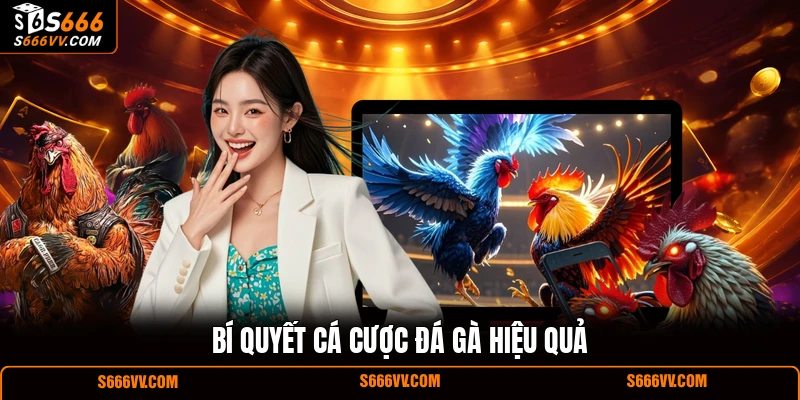 Bí quyết cá cược đá gà hiệu quả 