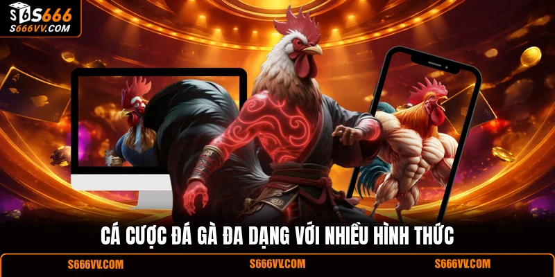 Cá cược đá gà đa dạng với nhiều hình thức
