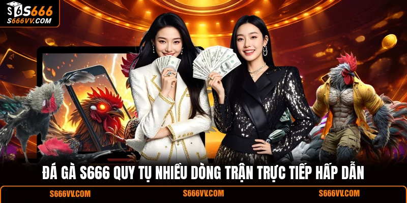 Đá gà S666 quy tụ nhiều dòng trận trực tiếp hấp dẫn
