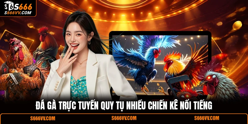 Đá gà trực tuyến quy tụ nhiều chiến kê nổi tiếng